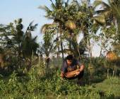 Begawan Biji