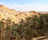 Oasis of Chebika