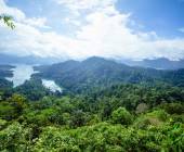 LTH_Signature Thailand