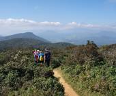 Horton Plains National Park