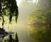 Royal Botanical Gardens in Peradeniya, Kandy, Sri Lanka