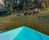 Wild Glamping Gal Oya