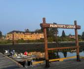 Whales & Bears of British Columbia