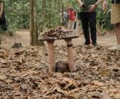 Southeast Asia Family Adventure
