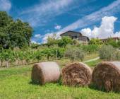 Walking Northern Tuscany