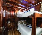 Marine Wildlife of the Maldives