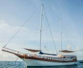 Marine Wildlife of the Maldives