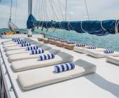 Marine Wildlife of the Maldives