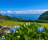 Walking in the Azores