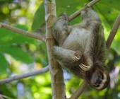 Costa Rica Coast to Coast Ride