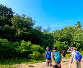 Borneo Wildlife Discoverer