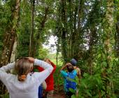 Borneo Wildlife Discoverer