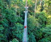 Borneo Wildlife Discoverer