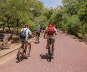 Sri Lankan Highlights