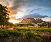 Stellenbosch