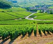 Loire Valley: Walks, Wine & Chateaux