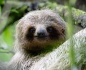 Costa Rica Adventure