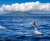 Walking in the Azores