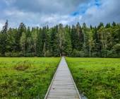 Walks of the Baltics and Finland