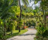 Thailand Family Adventure