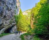 Carpathian Walking & Bears