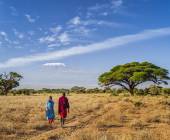 Kenya Safari Adventure