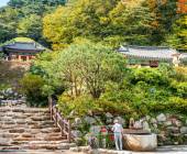 Discover South Korea