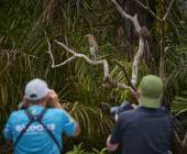 Discover Costa Rica – Coastal Edition