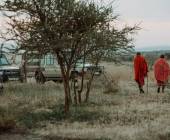 Tanzania Safari Adventure