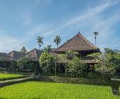 Primates & Dragons of Indonesia