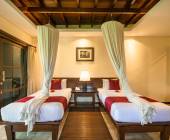 Primates & Dragons of Indonesia