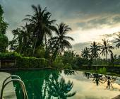 Primates & Dragons of Indonesia