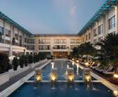 Primates & Dragons of Indonesia