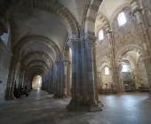 Discover Burgundy & Alsace – Premium Adventure