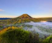 Primates & Dragons of Indonesia