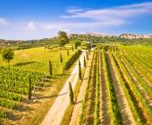 Cycling Croatia’s Istrian Peninsula