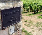 Discover Burgundy & Alsace – Premium Adventure