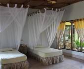 Primates & Dragons of Indonesia