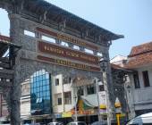 Primates & Dragons of Indonesia