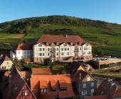 Discover Burgundy & Alsace – Premium Adventure