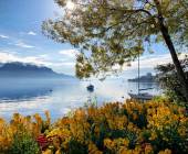 Discover Switzerland by Rail