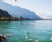 Discover Switzerland by Rail