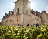 Discover Burgundy & Alsace – Premium Adventure