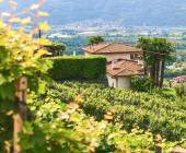 Discover Switzerland by Rail