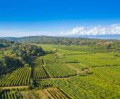 Walking North Croatia’s Islands & Lakes