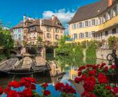 Discover Burgundy & Alsace – Premium Adventure