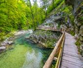 Walking the Slovenian Alps