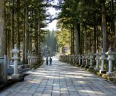 Signature Japan | Through Temples & Time