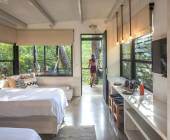 Signature Costa Rica | Where the Wild Answers