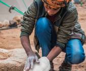 Signature Jordan | Stars and Desert Sands